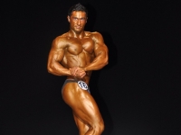 proform-classic-bodybuilding-show100