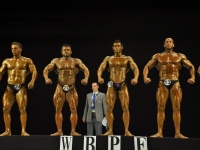 proform-classic-bodybuilding-show120