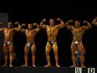 proform-classic-bodybuilding-show123