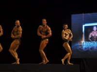 proform-classic-bodybuilding-show130