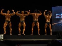 proform-classic-bodybuilding-show131