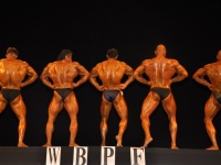 proform-classic-bodybuilding-show133