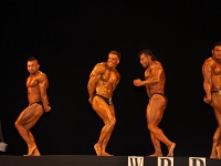 proform-classic-bodybuilding-show137