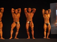 proform-classic-bodybuilding-show139