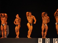 proform-classic-bodybuilding-show142