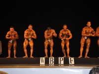 proform-classic-bodybuilding-show145