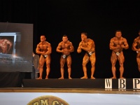 proform-classic-bodybuilding-show146