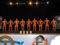 proform-classic-bodybuilding-show148