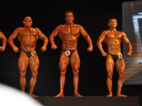 proform-classic-bodybuilding-show151