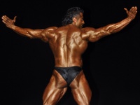 proform-classic-bodybuilding-show220