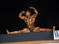 proform-classic-bodybuilding-show228