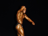 proform-classic-bodybuilding-show246