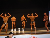 proform-classic-bodybuilding-show283