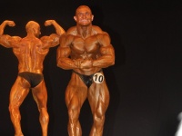 proform-classic-bodybuilding-show284