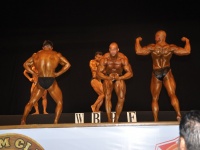 proform-classic-bodybuilding-show285