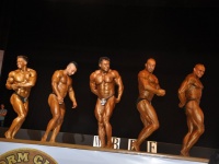 proform-classic-bodybuilding-show291