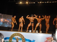 proform-classic-bodybuilding-show293