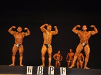 proform-classic-bodybuilding-show294