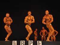 proform-classic-bodybuilding-show295