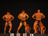 proform-classic-bodybuilding-show298