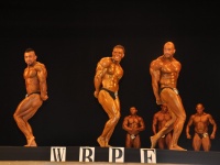 proform-classic-bodybuilding-show299