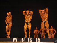 proform-classic-bodybuilding-show300