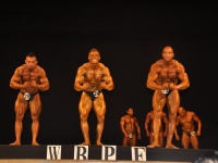 proform-classic-bodybuilding-show302