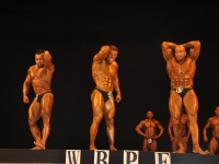 proform-classic-bodybuilding-show304