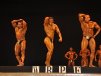 proform-classic-bodybuilding-show305