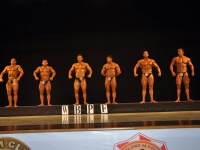 proform-classic-bodybuilding-show307