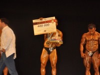 proform-classic-bodybuilding-show310