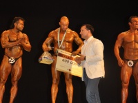 proform-classic-bodybuilding-show313