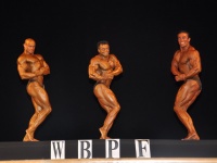 proform-classic-bodybuilding-show328