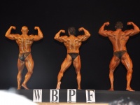 proform-classic-bodybuilding-show332