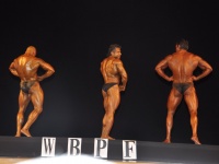 proform-classic-bodybuilding-show334