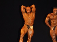 proform-classic-bodybuilding-show344