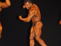 proform-classic-bodybuilding-show378