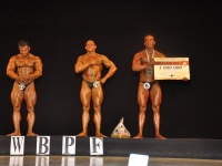 proform-classic-bodybuilding-show397