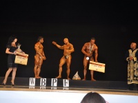 proform-classic-bodybuilding-show399