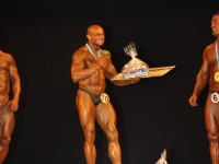 proform-classic-bodybuilding-show406