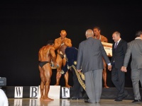 proform-classic-bodybuilding-show411