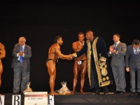 proform-classic-bodybuilding-show419