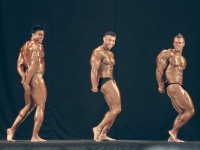 bodybuilding-proform-classic-2014_104