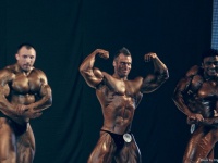 bodybuilding-proform-classic-2014_116