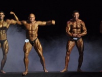 bodybuilding-proform-classic-2014_13