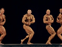 bodybuilding-proform-classic-2014_148