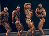 bodybuilding-proform-classic-2014_155