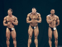 bodybuilding-proform-classic-2014_161