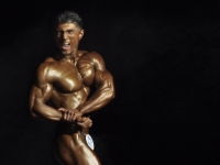 bodybuilding-proform-classic-2014_23