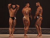 bodybuilding-proform-classic-2014_39